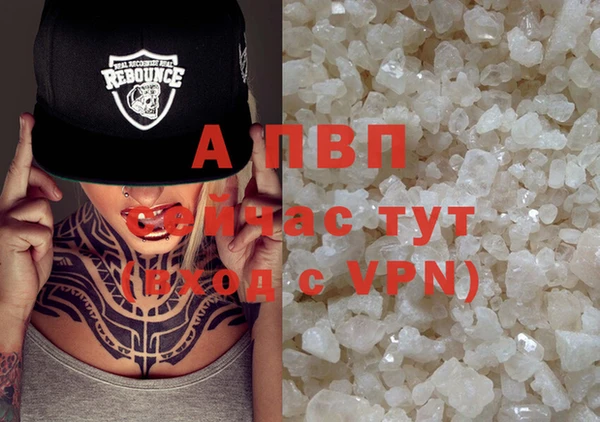 стафф Алексин