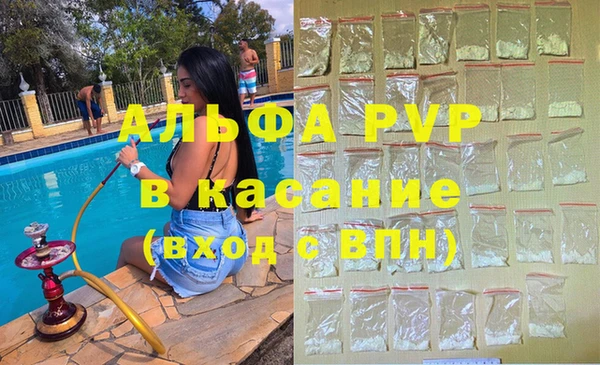 стафф Алексин