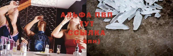 стафф Алексин