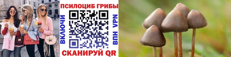 где продают наркотики  Спасск-Рязанский  Галлюциногенные грибы Psilocybe 